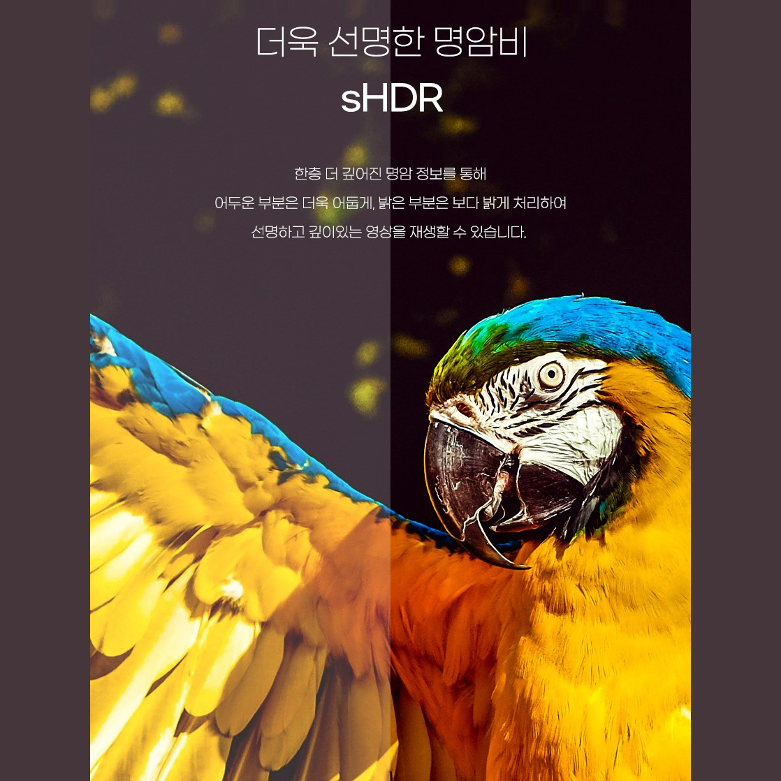 thumbnail-7